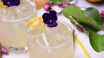 Margarita Zing